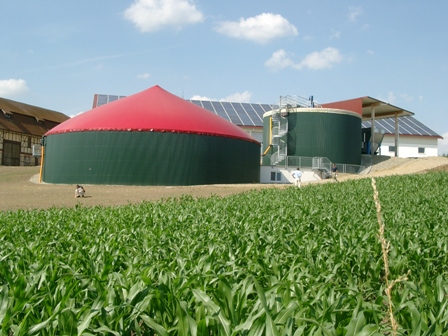 Aumentare le rese degli impianti a biogas - Immagine