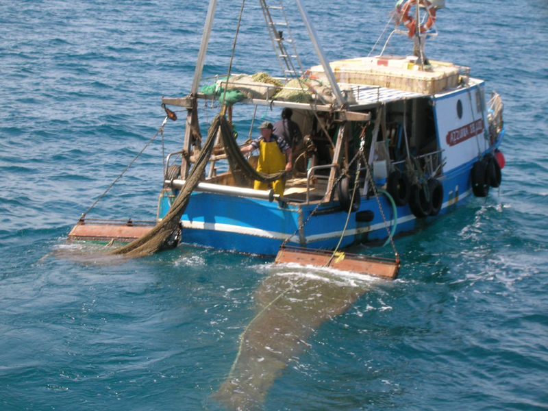 Pesca, Romano annuncia blocco di 45 giorni - Immagine