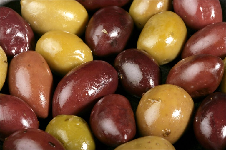 Energia dalle olive, l'Italia ci prova - Immagine