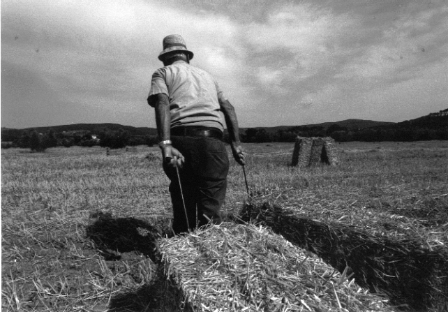 Suicidi di agricoltori, triste boom in Francia - Immagine