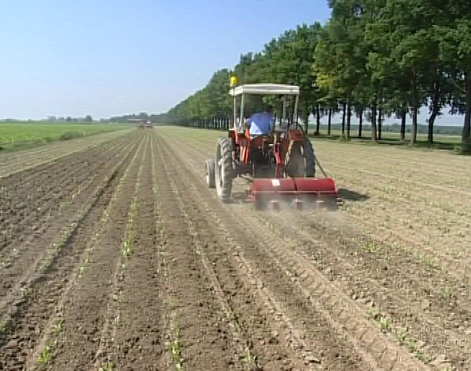 Agricoltura, al top Ue le grandi aziende italiane - Immagine