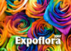 Expoflora 2011 - Immagine