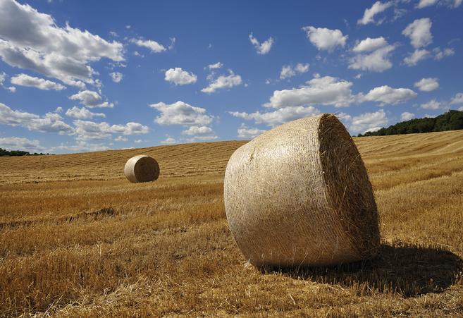 Agricoltura Usa, ricavi alle stelle: 2011 al +31% - Immagine