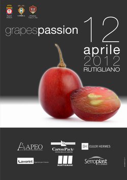 GrapesPassion - Immagine