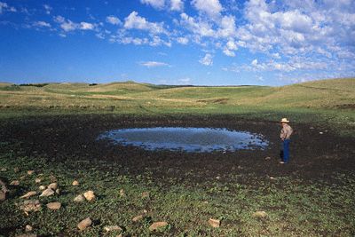 Agricoltura, allarme globale per la siccità - Immagine