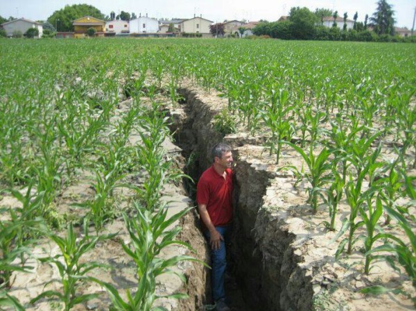 Terremoto, 500 milioni di danni in agricoltura - Immagine