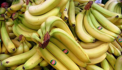 Banane sudamericane a rischio - Immagine