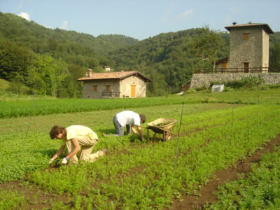 Cooperative agricole: 'La Pac va ringiovanita' - Immagine