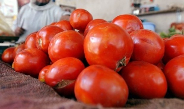 Aiuti per i pomodori, l'Italia fa ricorso - Immagine