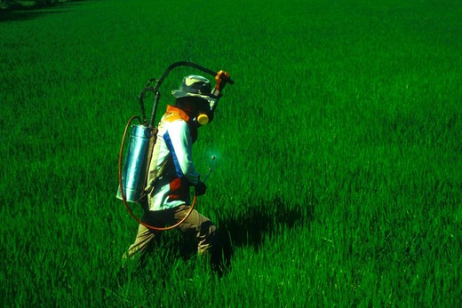 Ccpb: 'Sui pesticidi si può fare ancora meglio' - Immagine