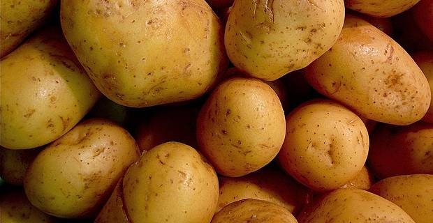 La Russia vuole bloccare l'import di patate - Immagine