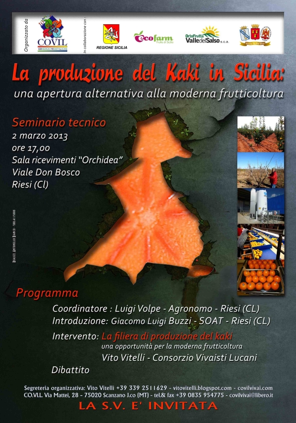 La produzione del kaki in Sicilia: un'apertura alternativa alla moderna frutticoltura - Immagine