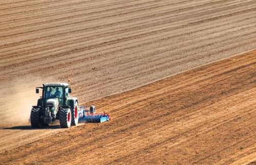 Agricoltura, crescono le assunzioni in Italia - Immagine