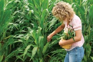 Credit crunch record per l'agricoltura femminile - Immagine