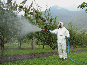 Consultazione pubblica sugli effetti dei pesticidi - Immagine