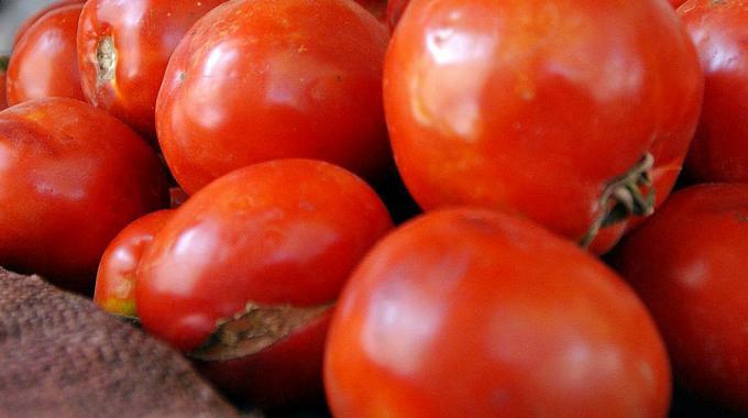 Pomodoro, ancora scorrettezze dal Marocco - Immagine
