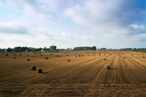 Agricoltura, fondi Psr a rischio in Italia - Immagine
