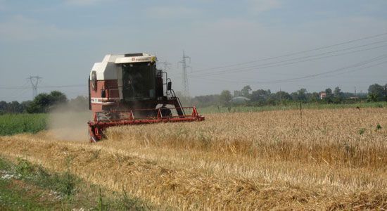 Raccolta grano, Europa vicina al record - Immagine