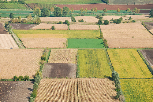 Agricoltura, UE: nuovi sbocchi dall'export - Immagine