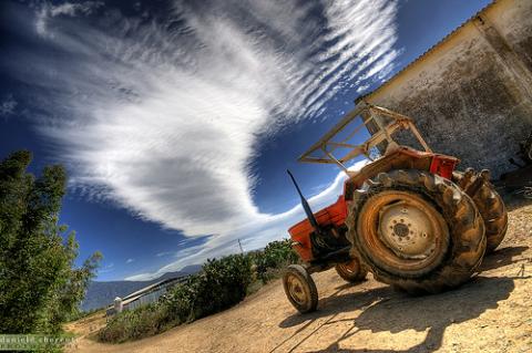 Istat: aziende agricole sempre più in calo - Immagine