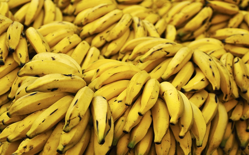 Ora le banane si coltivano anche in Sicilia - Immagine