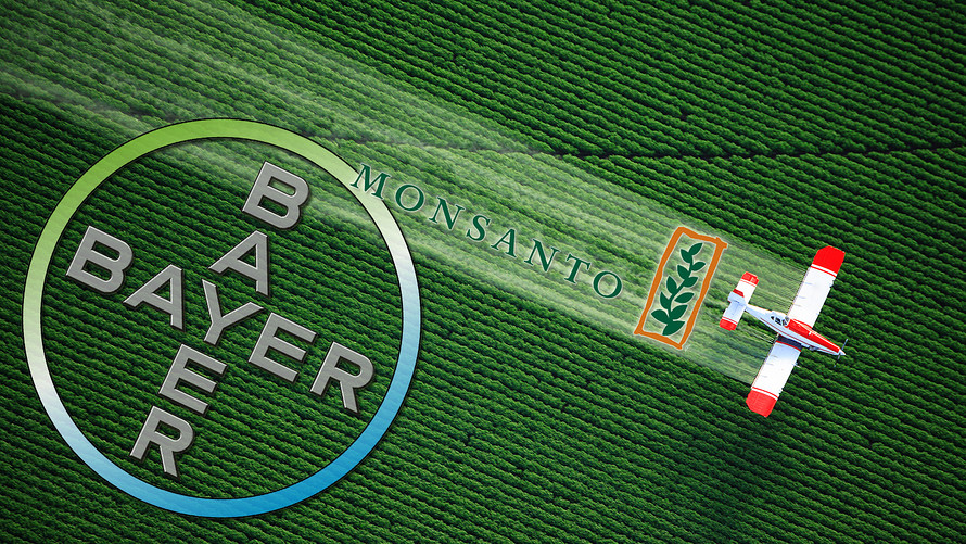 Bayer compra Monsanto: nasce colosso agribusiness - Immagine