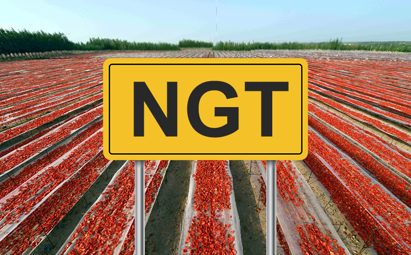 NGT-OGM-organismi-geneticamente-modificati.jpg